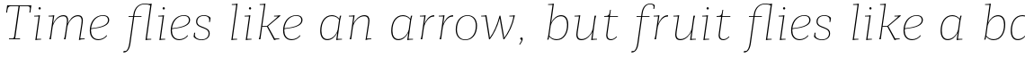 Mediator Serif Thin Italic