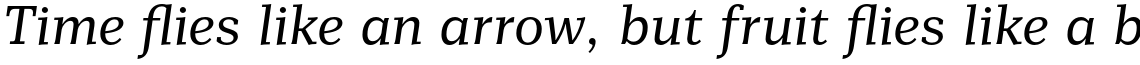 Mediator Serif Italic