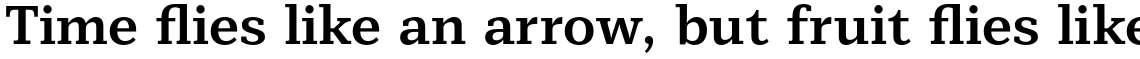 Mediator Serif Bold
