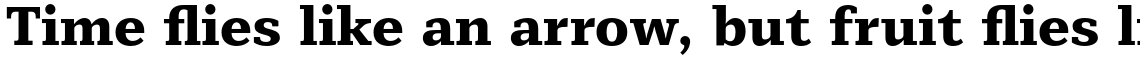 Mediator Serif Extra Bold