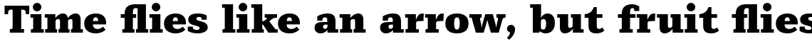 Mediator Serif Black