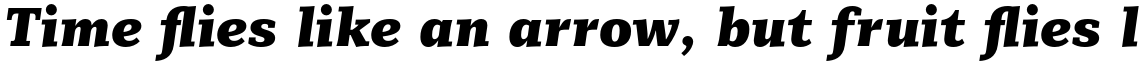 Mediator Serif Black Italic