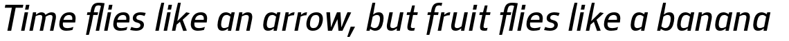 Mellnik Text Light Italic
