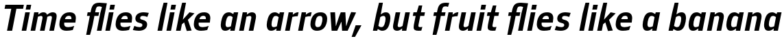 Mellnik Text Regular Italic