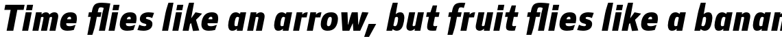 Mellnik Text Bold Italic