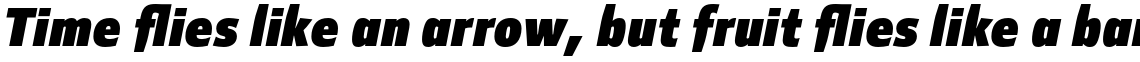 Mellnik Text Heavy Italic