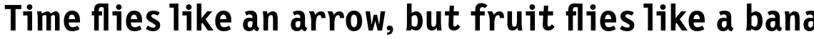 New Letter Gothic Bold