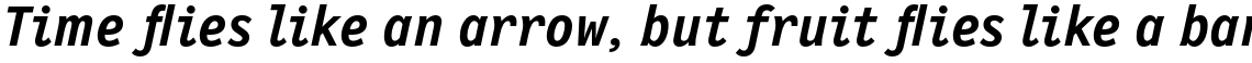 New Letter Gothic Bold Italic