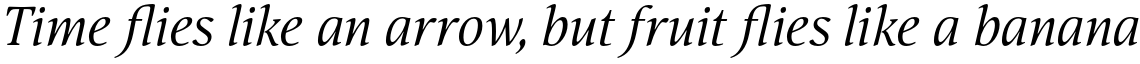 Nat Flight Italic