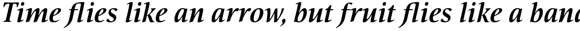 Nat Flight Bold Italic