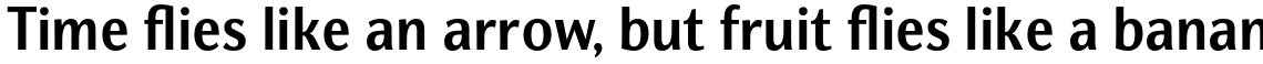 Nat Grotesk Bold