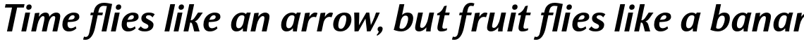 Nat Grotesk Bold Italic