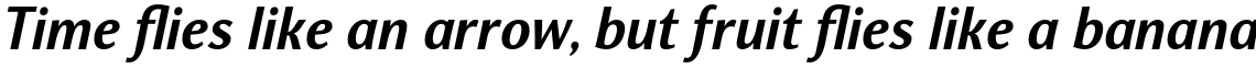Nat Grotesk Narrow Bold Italic