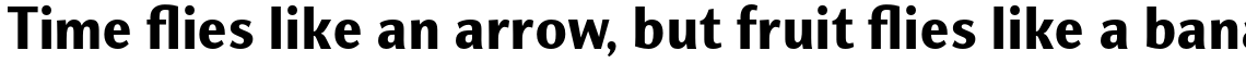 Nat Grotesk Black