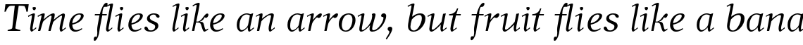 New Journal Italic
