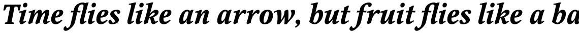 Octava Bold Italic