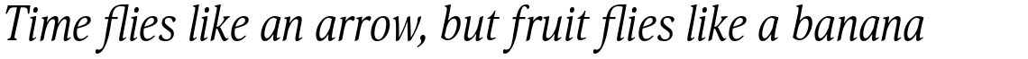 Orbi Narrow Italic