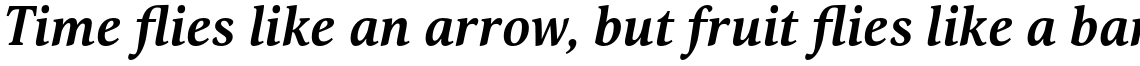 Orbi Bold Italic
