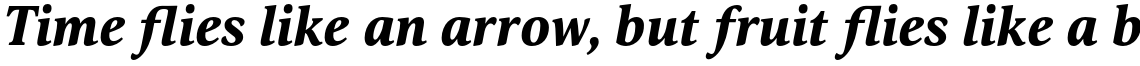 Orbi Black Italic