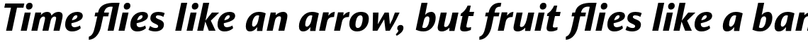 Orbi Sans Black italic