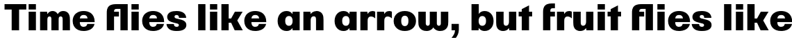 Parangon Bold