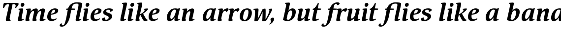 Pallada Bold Italic