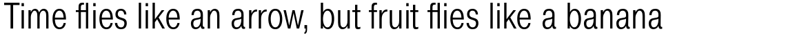 Pragmatica Condensed Light