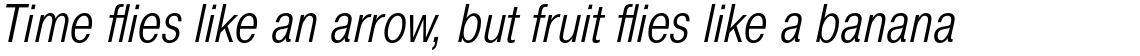 Pragmatica Condensed Light Oblique