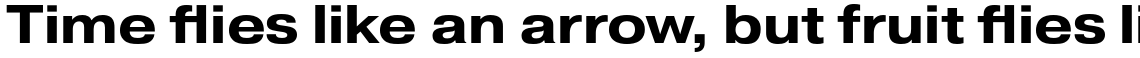 Pragmatica Extended Bold
