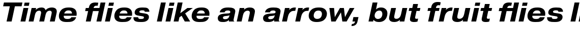 Pragmatica Extended Bold Oblique