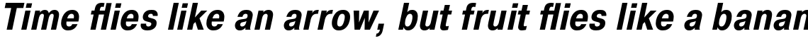 Pragmatica Condensed Bold Oblique