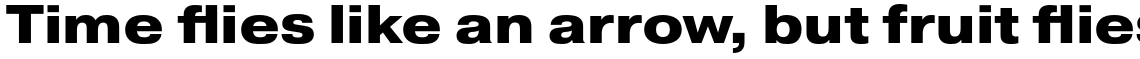 Pragmatica Extended Extra Bold