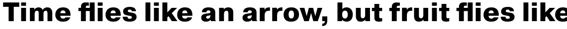 Pragmatica Extra Bold