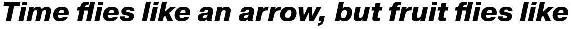 Pragmatica Extra Bold Oblique