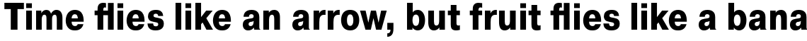 Pragmatica Condensed Extra Bold