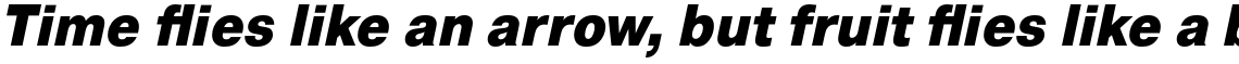 Pragmatica Condensed Black Oblique