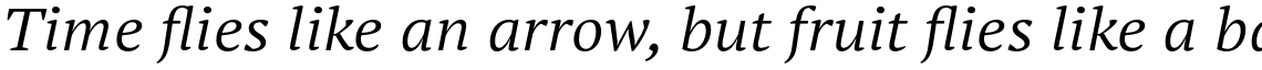 PT Serif Pro Extended Book Italic