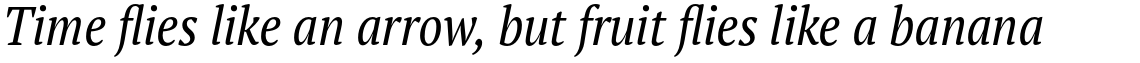 PT Serif Pro Narrow Book Italic