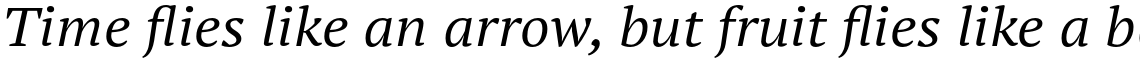 PT Serif Pro Extended Italic