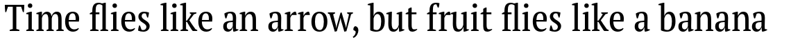 PT Serif Pro Narrow Regular