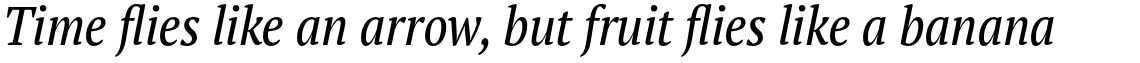 PT Serif Pro Narrow Italic