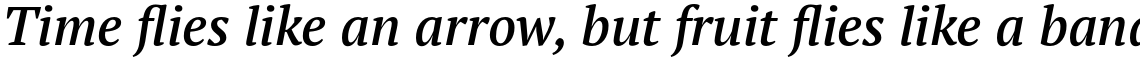 PT Serif Pro Demi Italic