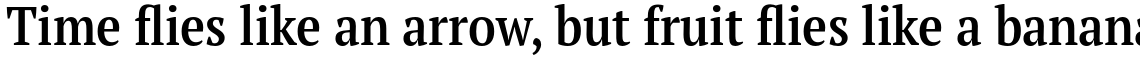 PT Serif Pro Narrow Demi