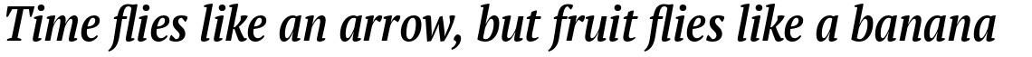PT Serif Pro Narrow Demi Italic