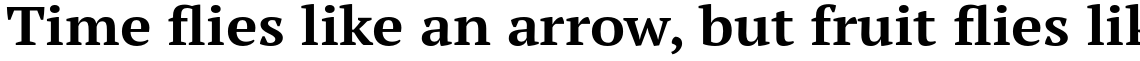 PT Serif Pro Extended Bold