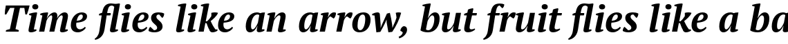 PT Serif Pro Bold Italic