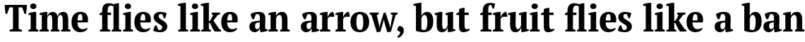 PT Serif Pro Narrow Bold
