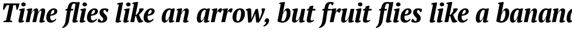 PT Serif Pro Narrow Bold Italic