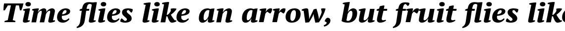 PT Serif Pro Extended Extra Bold Italic