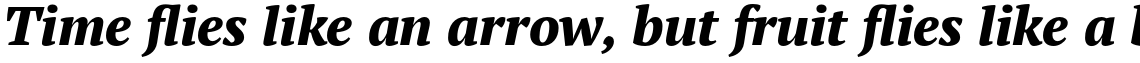 PT Serif Pro Extra Bold Italic